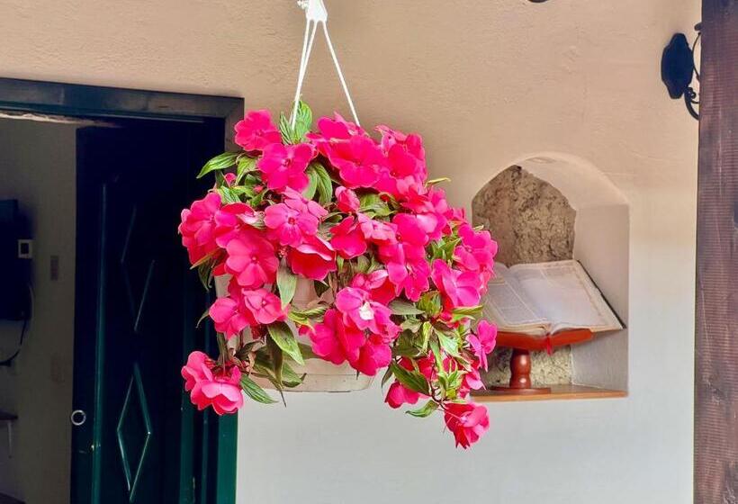 בית מלון כפרי San Gabriel