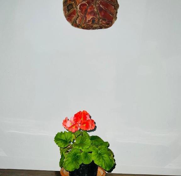 בית מלון כפרי San Gabriel