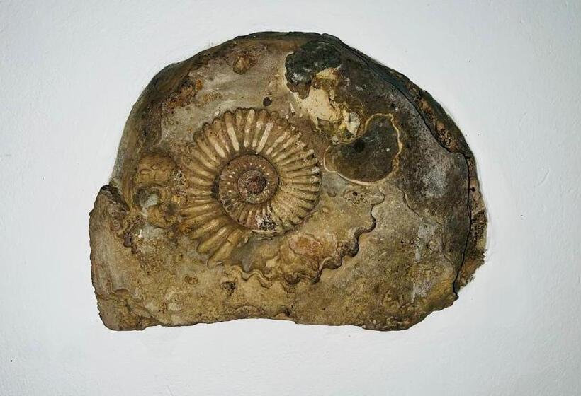 בית מלון כפרי San Gabriel