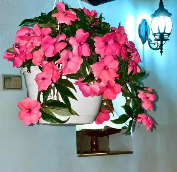 בית מלון כפרי San Gabriel