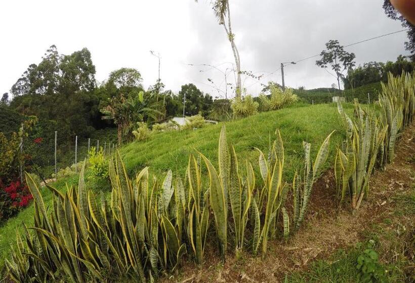 فندق Sky Club Eco