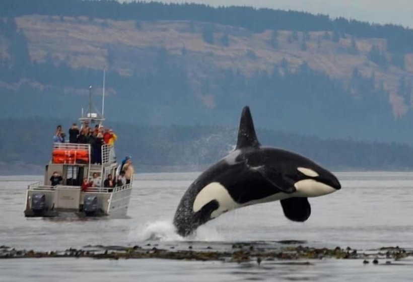 فندق The Edenwild Boutique Inn