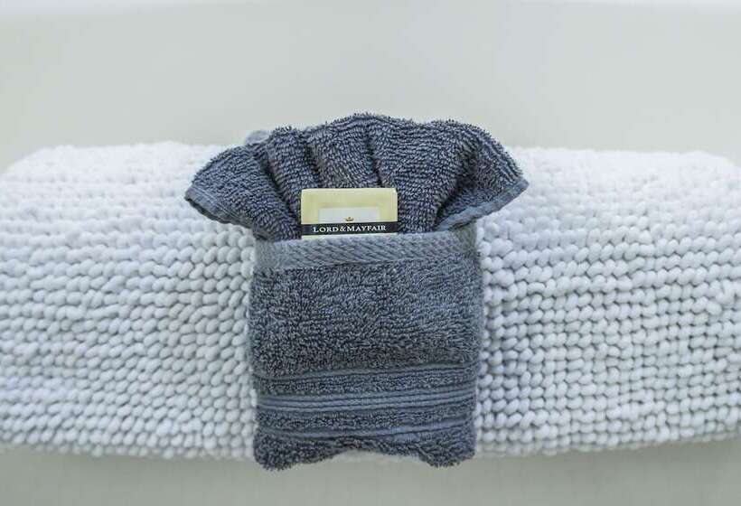 فندق The Edenwild Boutique Inn