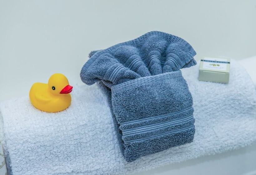 فندق The Edenwild Boutique Inn