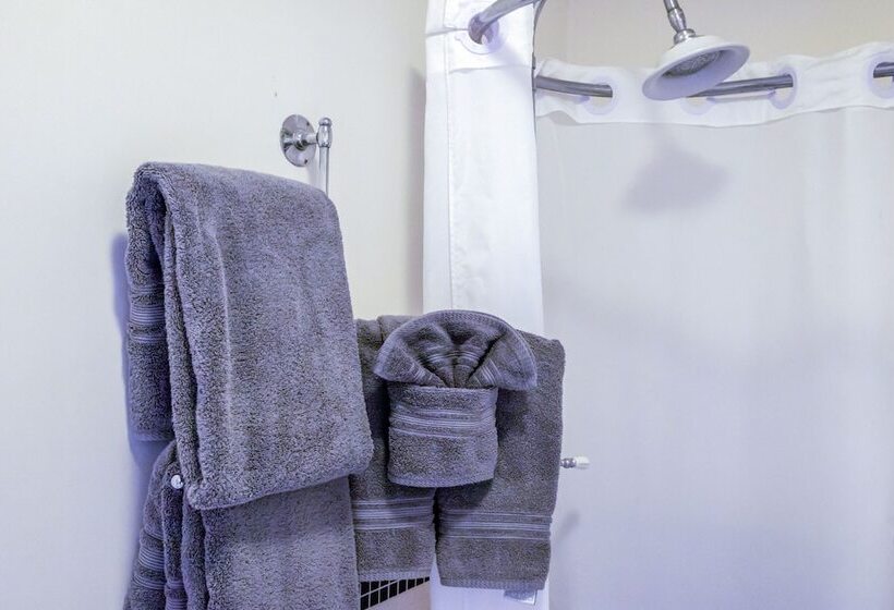 فندق The Edenwild Boutique Inn