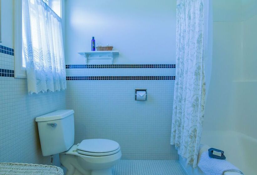 فندق The Edenwild Boutique Inn