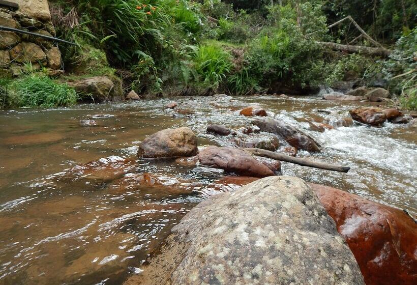 בית מלון כפרי Villa Del Moján