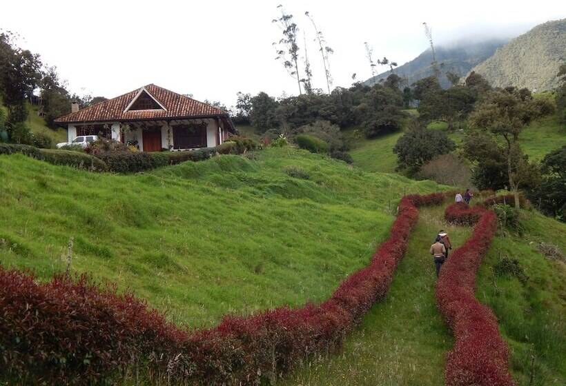 בית מלון כפרי Villa Del Moján