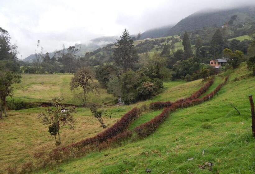 בית מלון כפרי Villa Del Moján