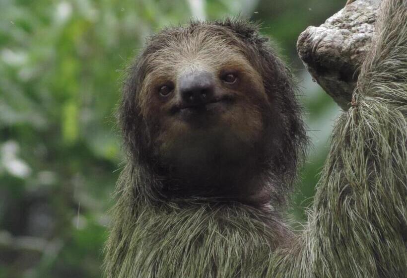 فندق Vocaré Finca Agroecológica