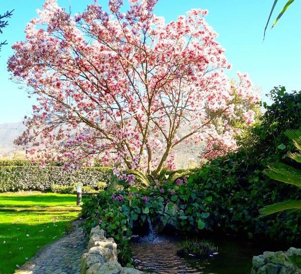 Il Casale Di Riardo Luxury B&b