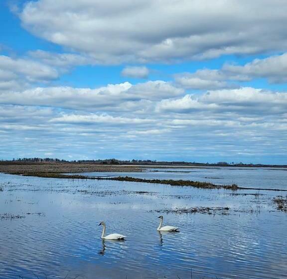 فندق على الطريق Grantsburg Inn