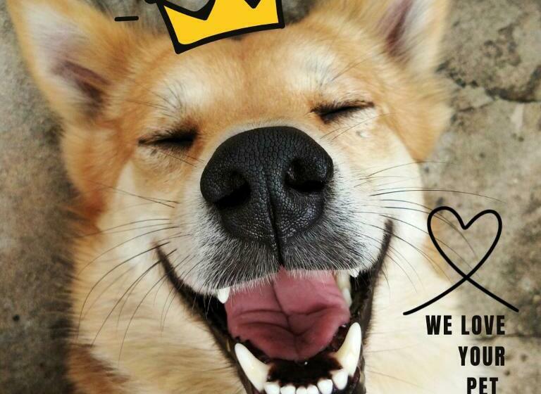 فندق على الطريق Grantsburg Inn