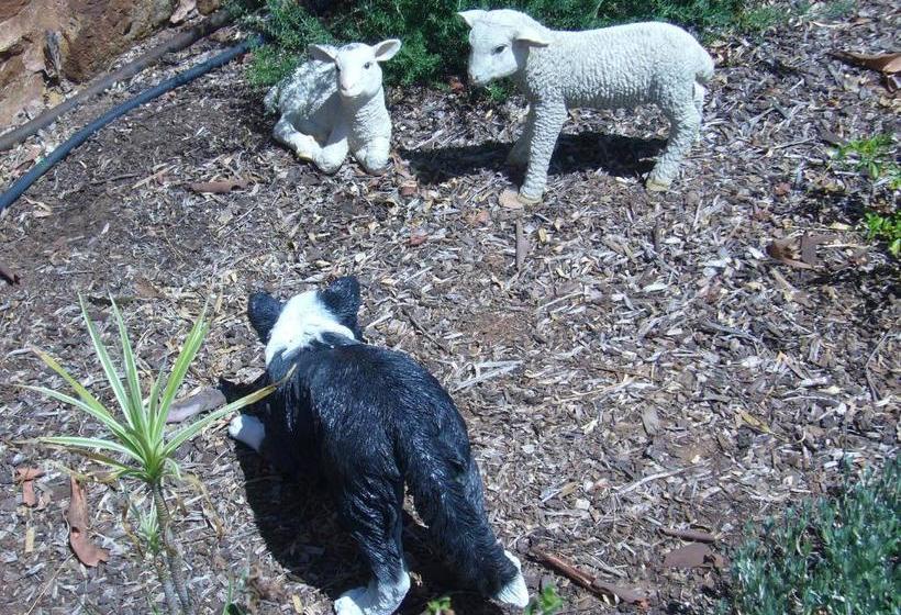 Mooniemia Farmhouse Bed And Breakfast