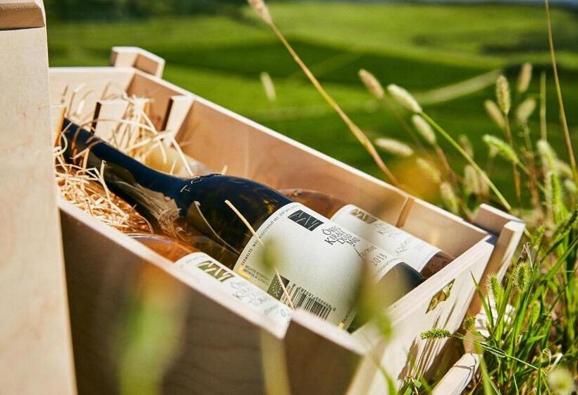 פנסיון Barta Pince Vendégház Mád