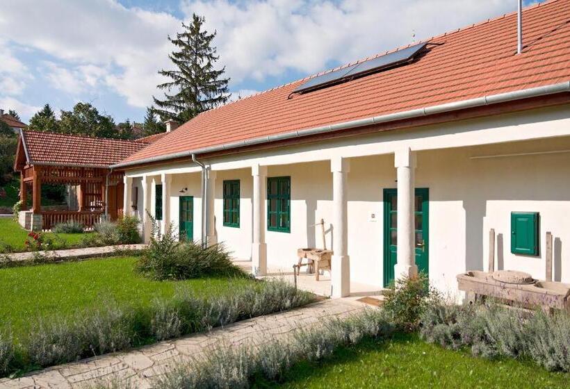 פנסיון Barta Pince Vendégház Mád