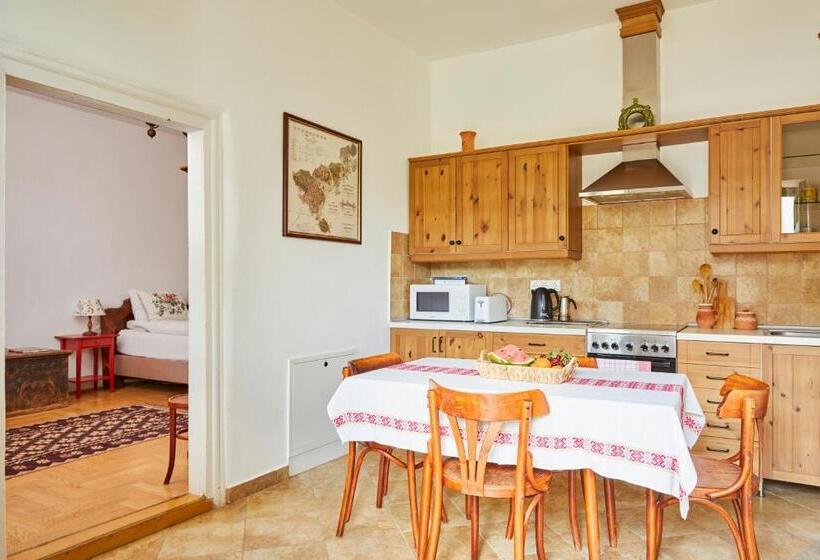 פנסיון Barta Pince Vendégház Mád