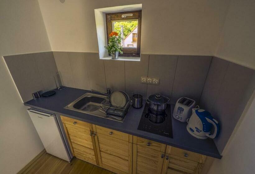 פנסיון Boldogkőház