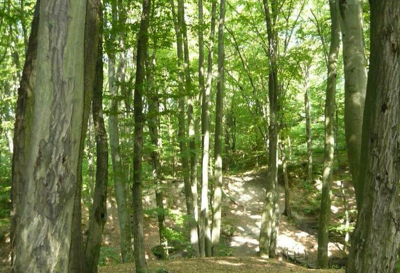 פנסיון Börzsönykapuja Vendégház