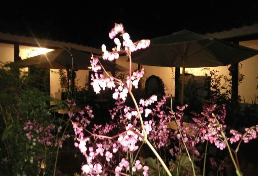 פנסיון Casa Del Colibri