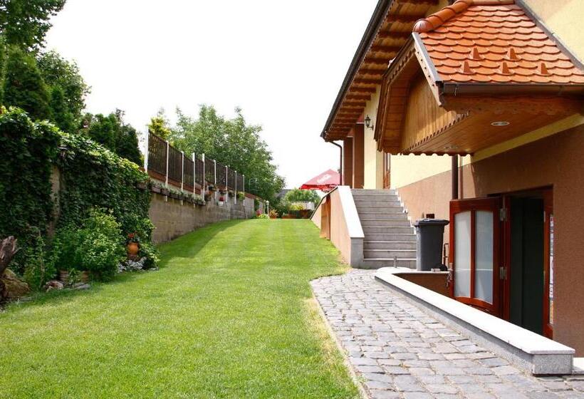 بنسيون Castrum Vendégház