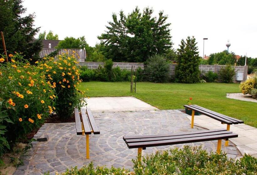 بنسيون Castrum Vendégház