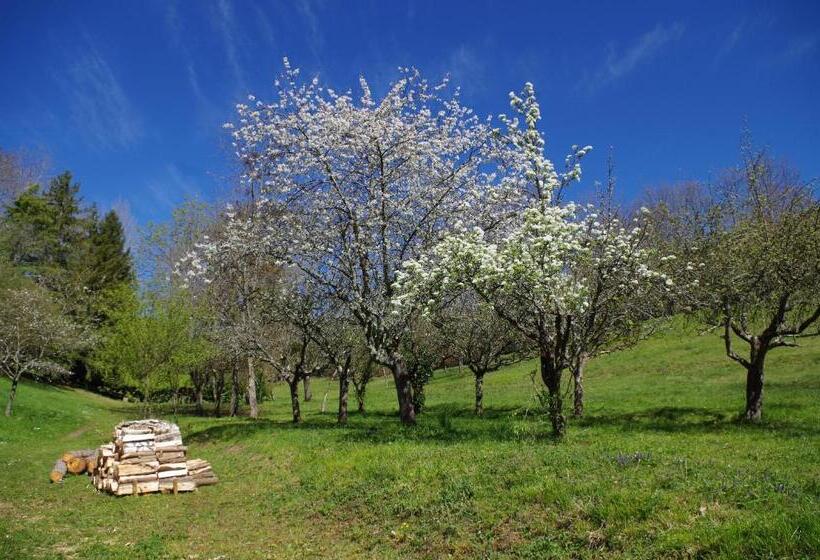 Пансион Chambres D'hôtes Domaine Du Hameau Baylesse