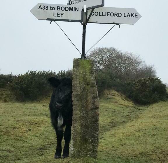 Пансион Colliford Lake Tavern & Holiday Park