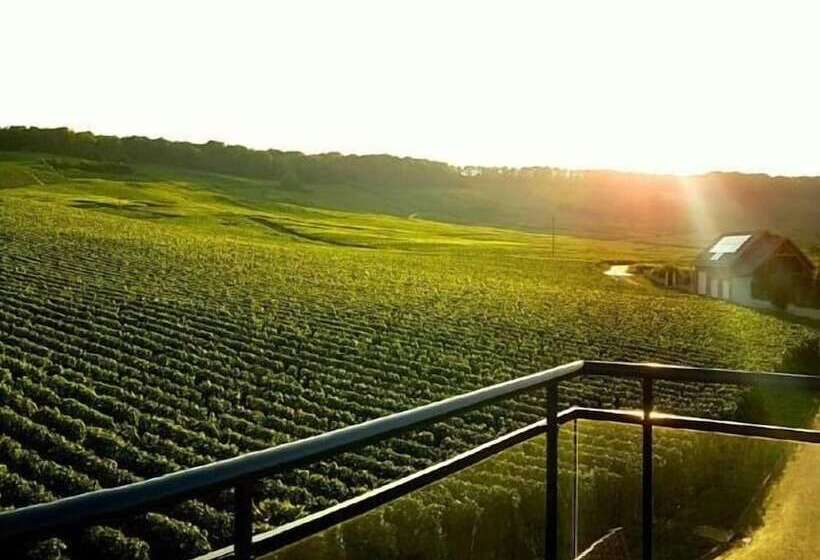 膳宿费 Dans Les Vignes