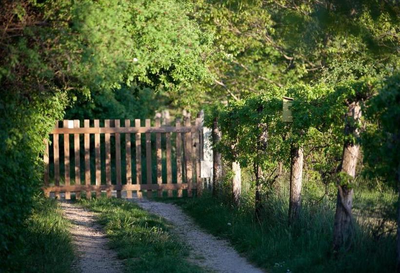 بنسيون Dióliget   Zöld Dió Házikó