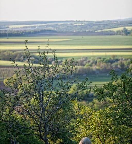 بنسيون Dióliget   Zöld Dió Házikó