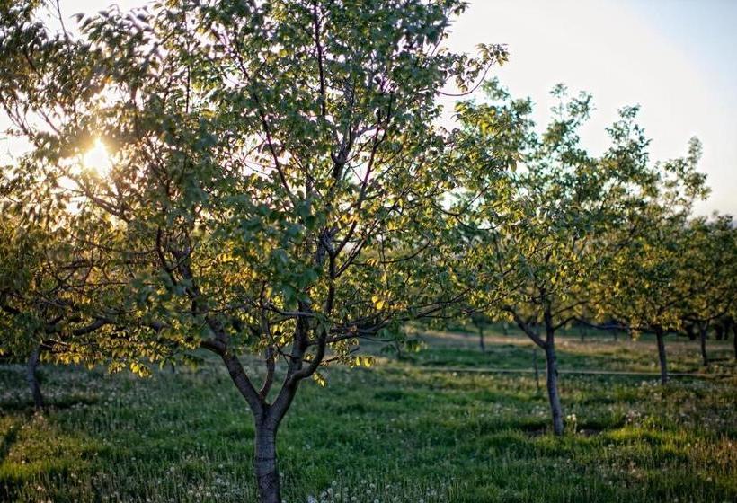 بنسيون Dióliget   Zöld Dió Házikó