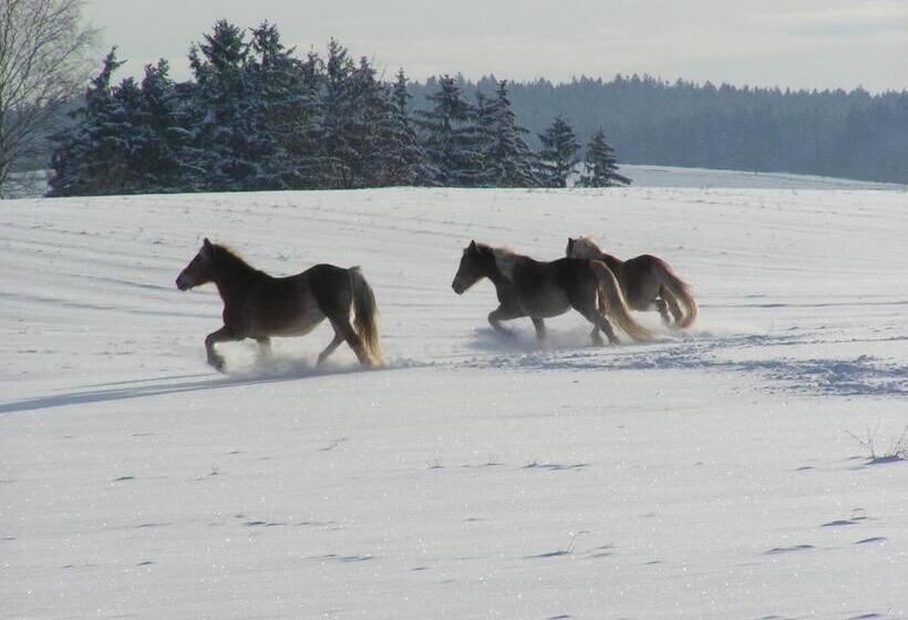 ペンション Domizil