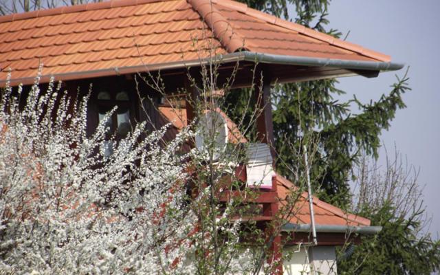 פנסיון Folyóka Vendégház
