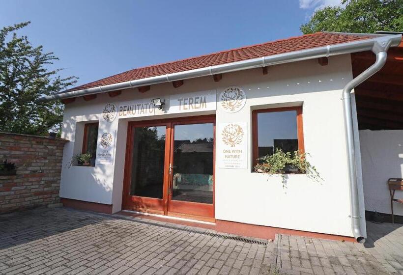 بنسيون Füzesi Papa Vendégháza