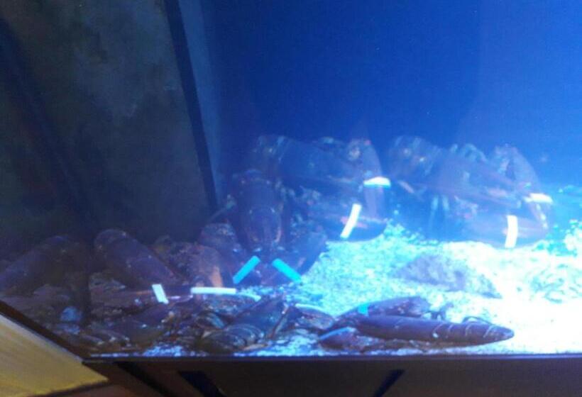 פנסיון Hostal Hispalis