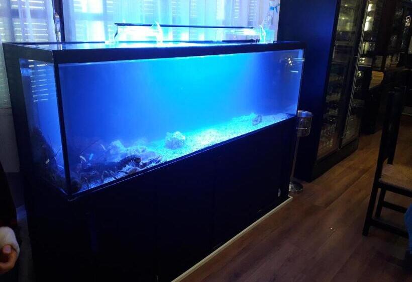 פנסיון Hostal Hispalis