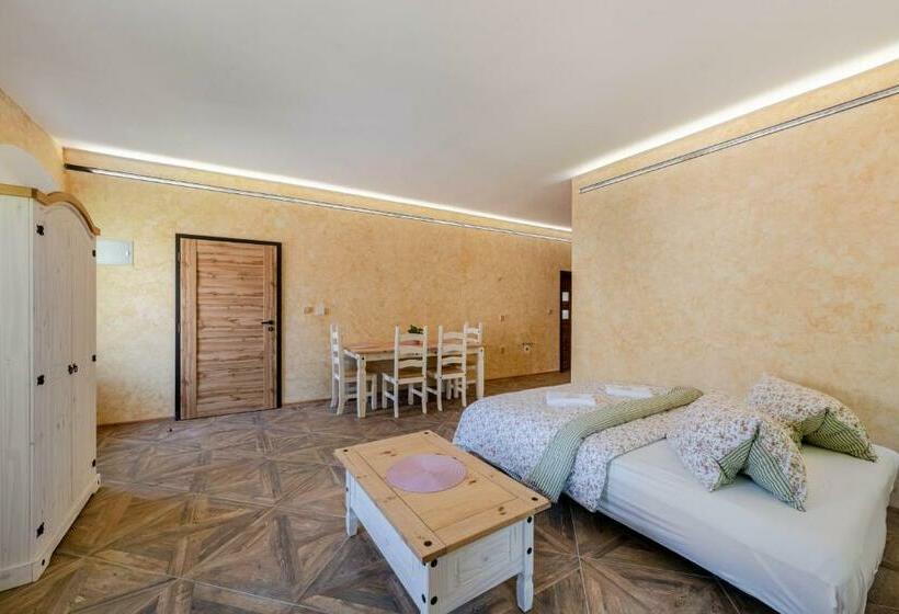 膳宿费 Hrad Vildstejn