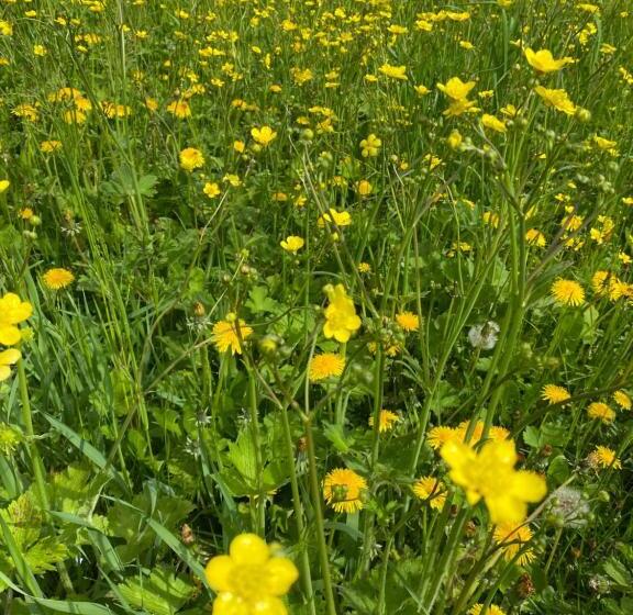 膳宿费 Il Riccio E Il Gufo