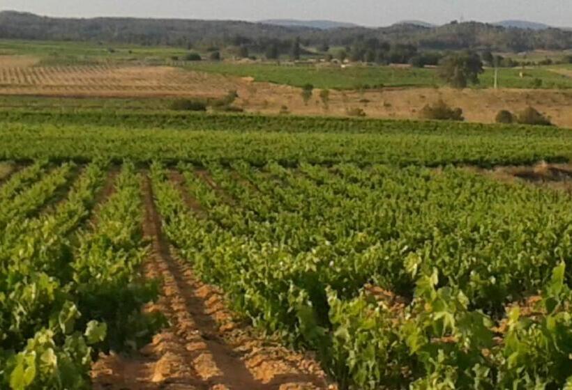 Pensión Isla   Couples Only