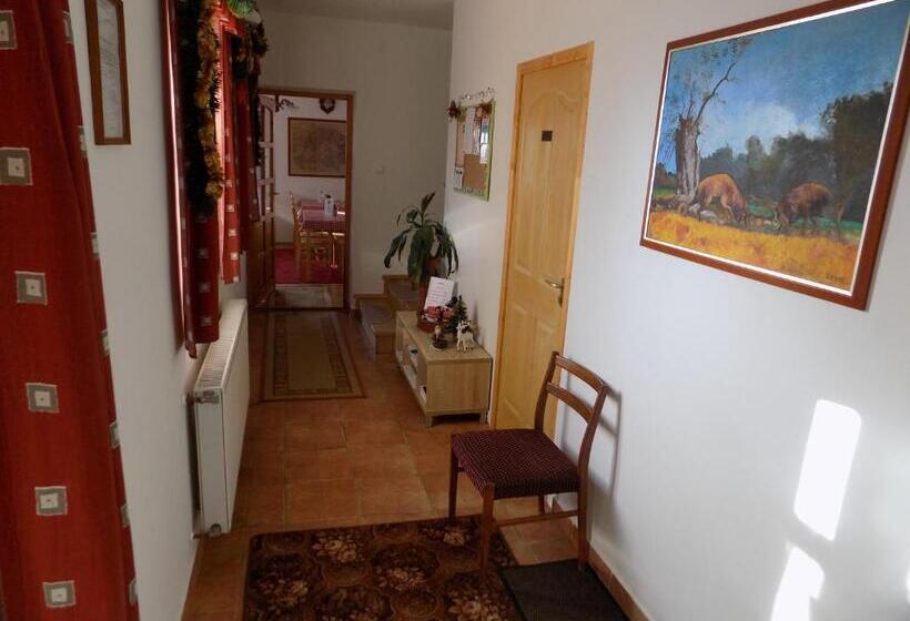 بنسيون Katica Vendégház