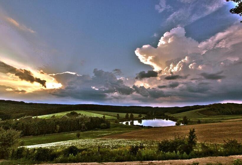 بنسيون Matievics Borászat és Vendégház