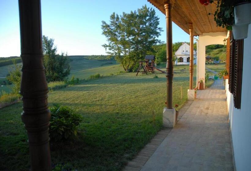 بنسيون Matievics Borászat és Vendégház