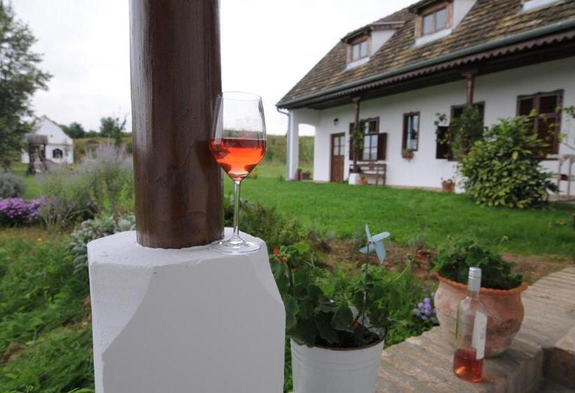 بنسيون Matievics Borászat és Vendégház