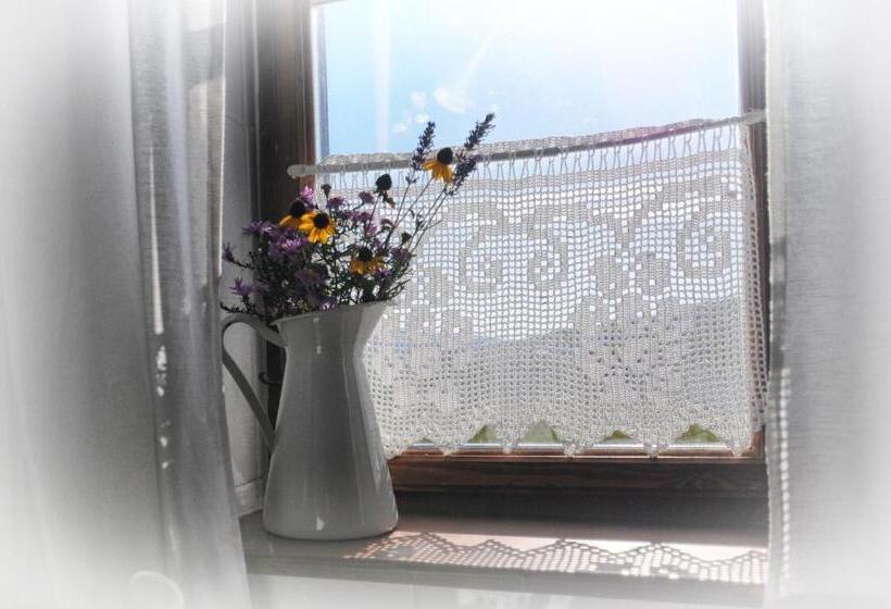 بنسيون Matievics Borászat és Vendégház