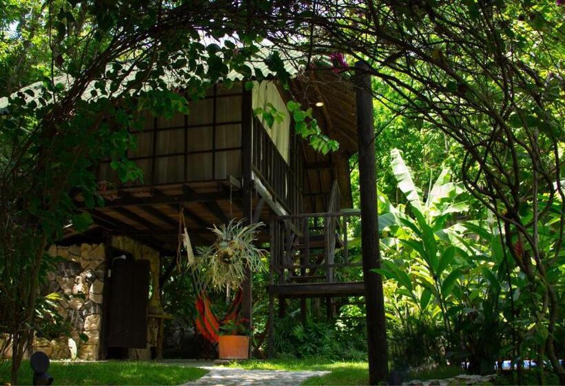 膳宿费 Monte Verde Hostal