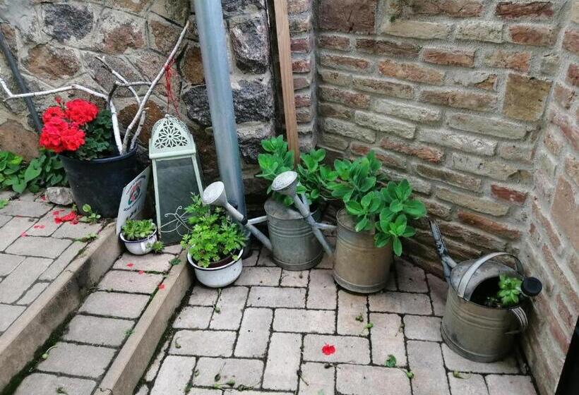 بنسيون Míves Vendégház