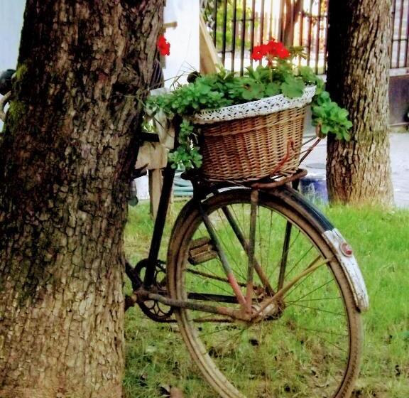 بنسيون Míves Vendégház