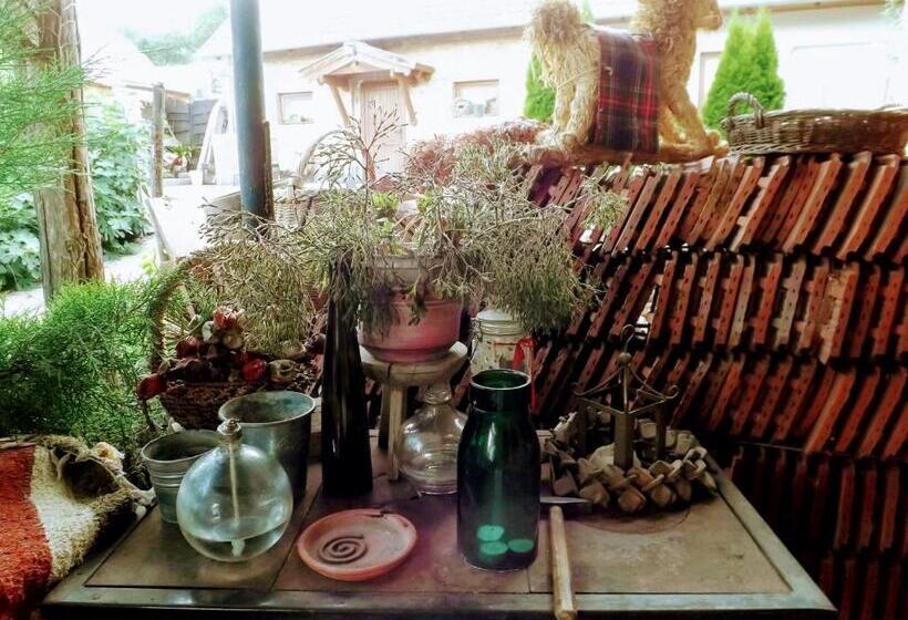 ペンション Míves Vendégház