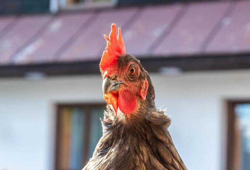 פנסיון Penzion Vápenka